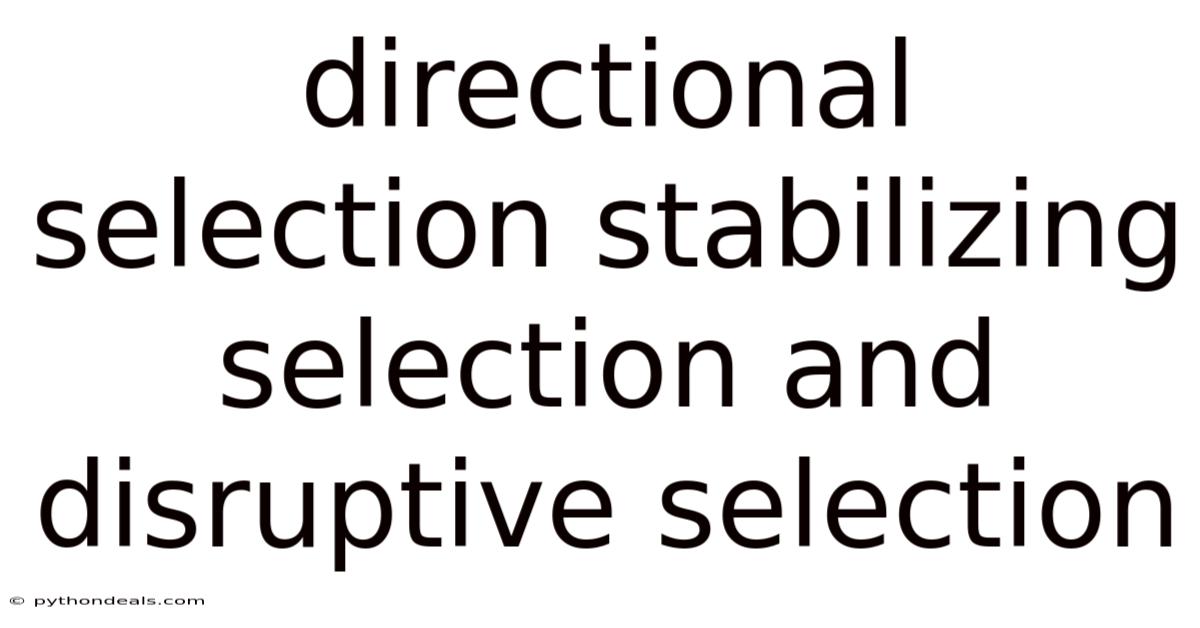 Directional Selection Stabilizing Selection And Disruptive Selection