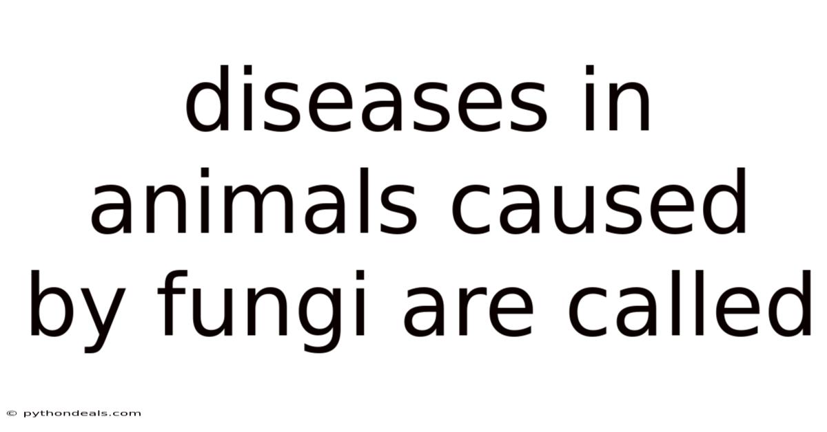 Diseases In Animals Caused By Fungi Are Called