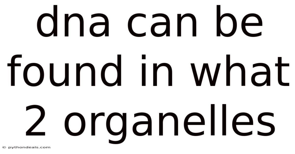 Dna Can Be Found In What 2 Organelles
