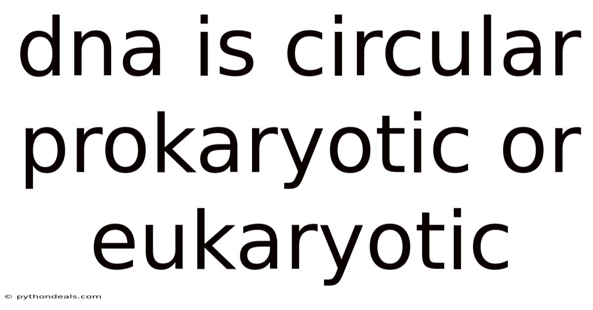 Dna Is Circular Prokaryotic Or Eukaryotic