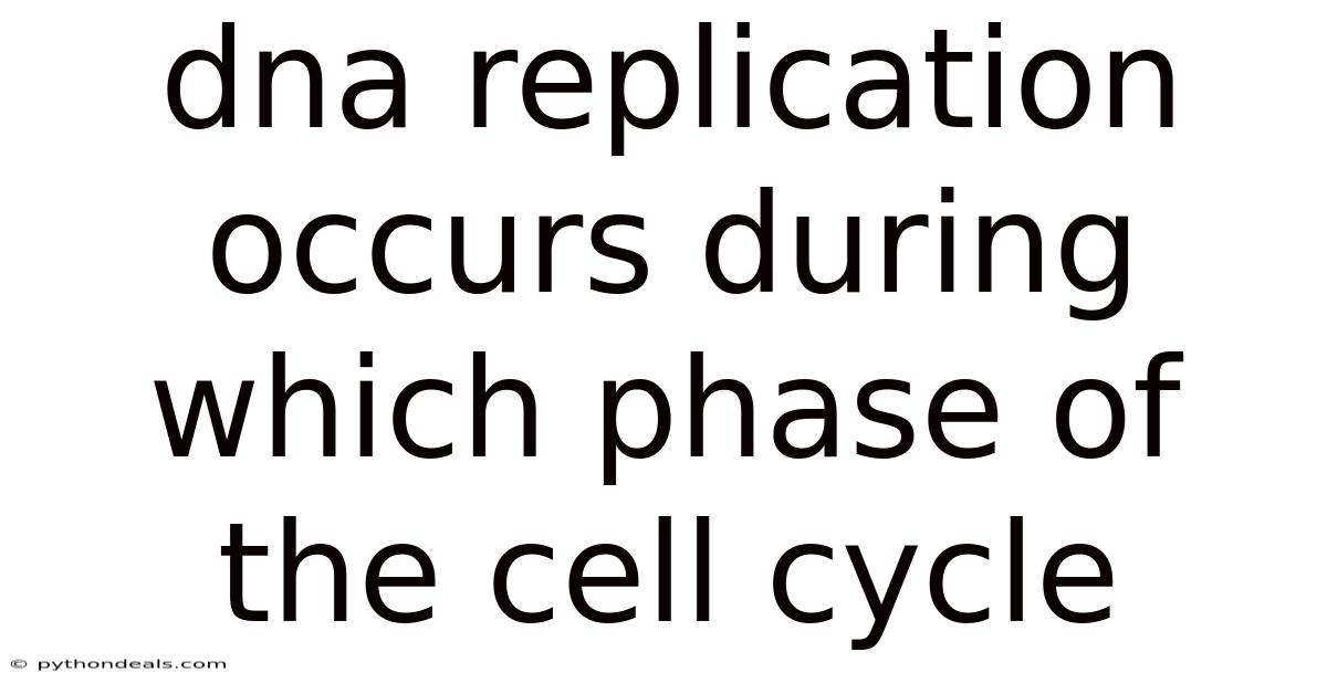 Dna Replication Occurs During Which Phase Of The Cell Cycle