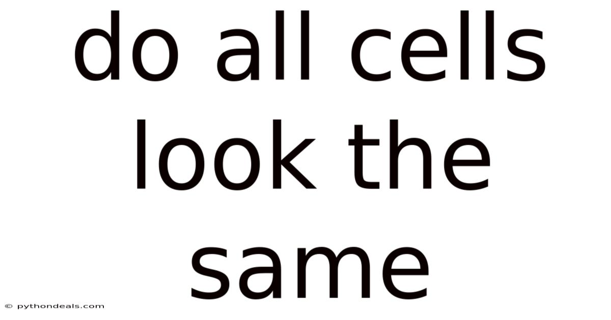 Do All Cells Look The Same