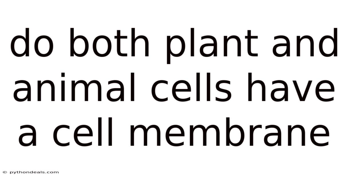 Do Both Plant And Animal Cells Have A Cell Membrane