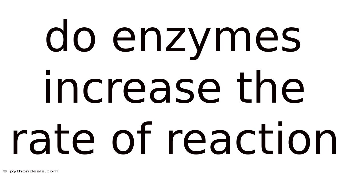 Do Enzymes Increase The Rate Of Reaction