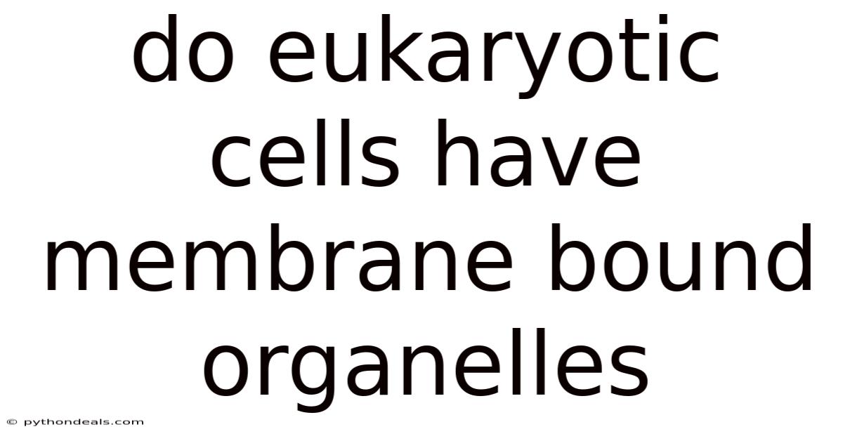 Do Eukaryotic Cells Have Membrane Bound Organelles