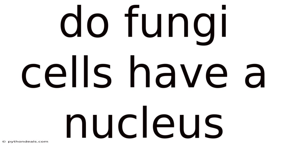 Do Fungi Cells Have A Nucleus