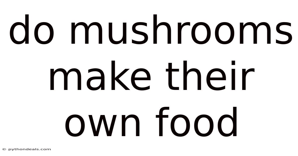 Do Mushrooms Make Their Own Food