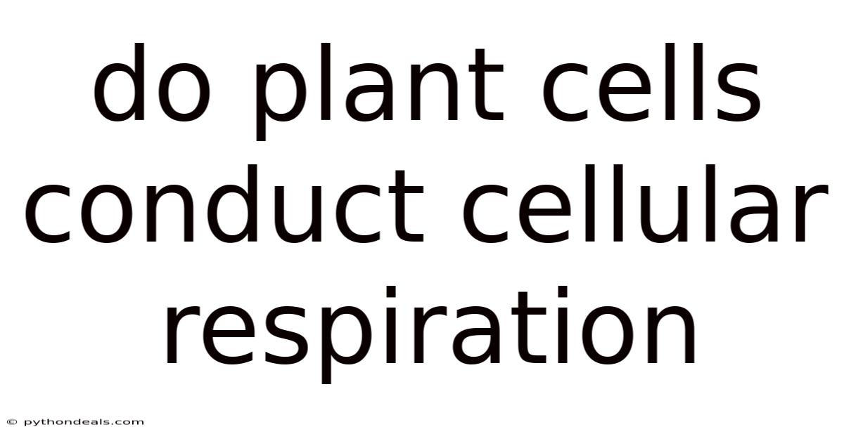 Do Plant Cells Conduct Cellular Respiration