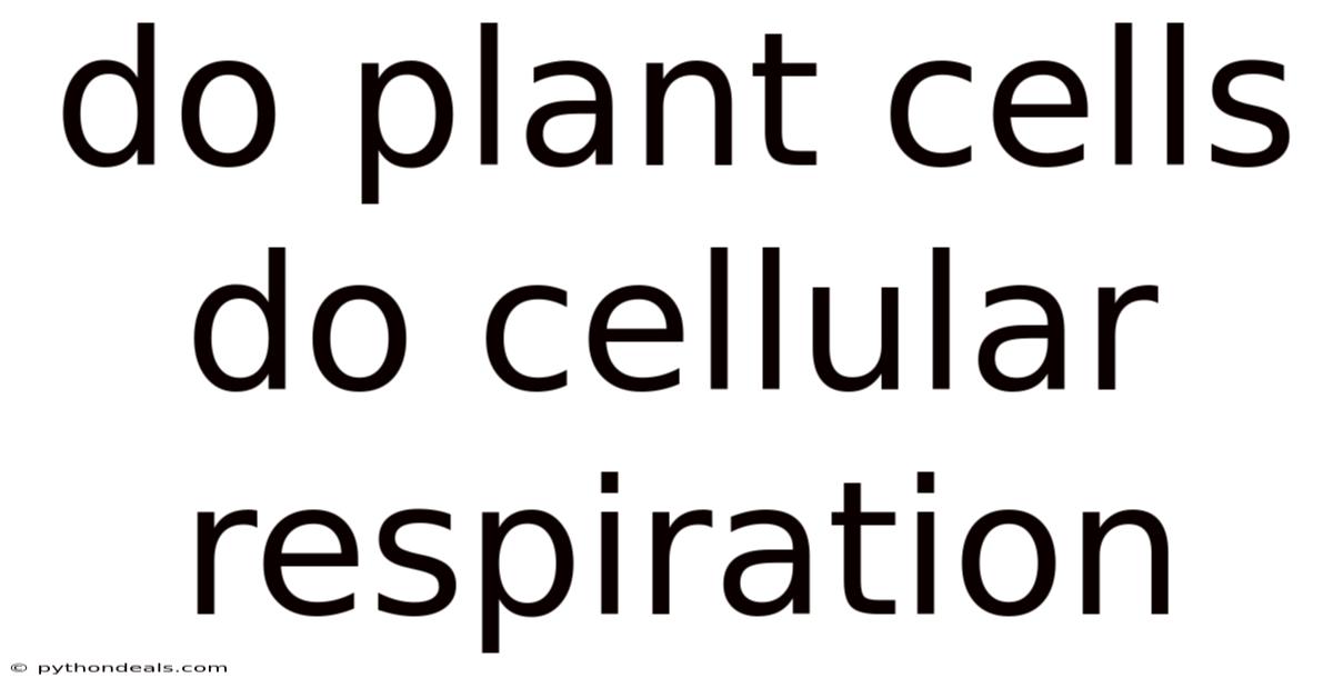 Do Plant Cells Do Cellular Respiration