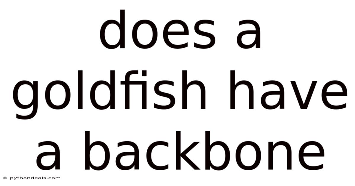 Does A Goldfish Have A Backbone