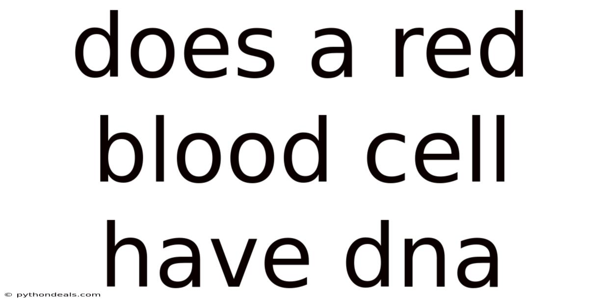 Does A Red Blood Cell Have Dna