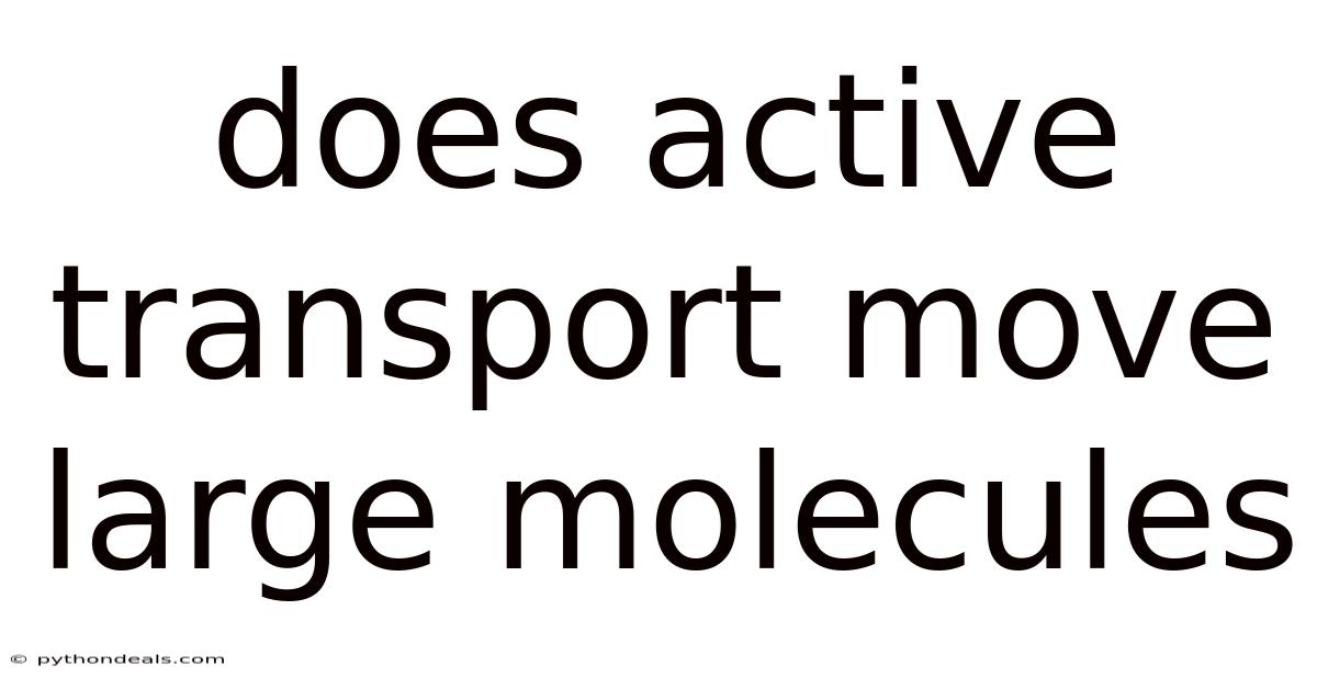 Does Active Transport Move Large Molecules
