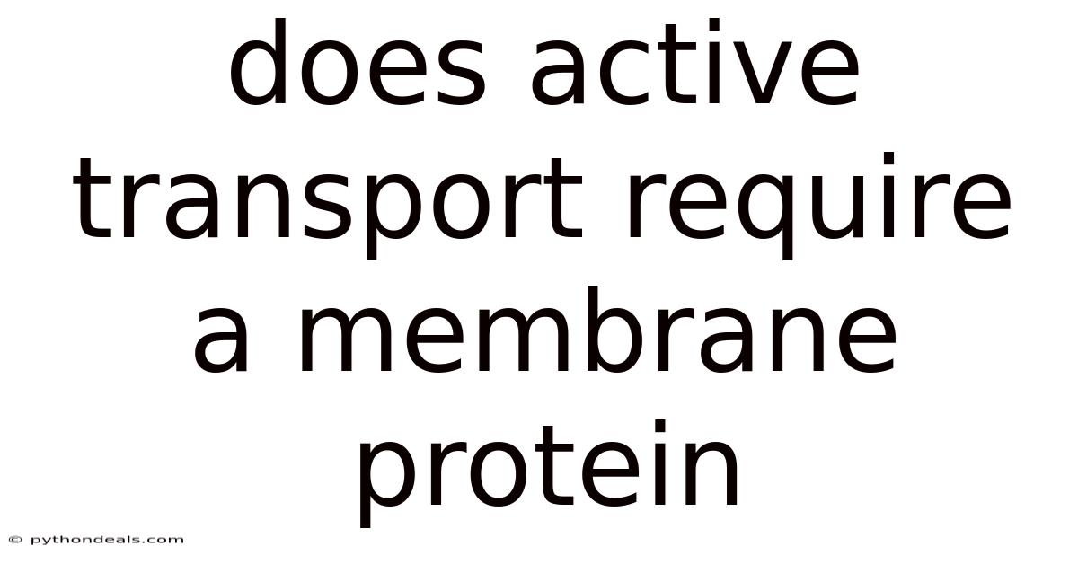 Does Active Transport Require A Membrane Protein