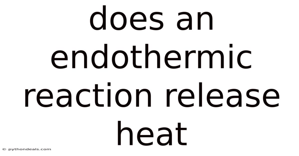 Does An Endothermic Reaction Release Heat