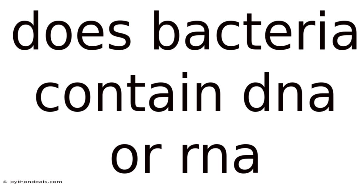 Does Bacteria Contain Dna Or Rna