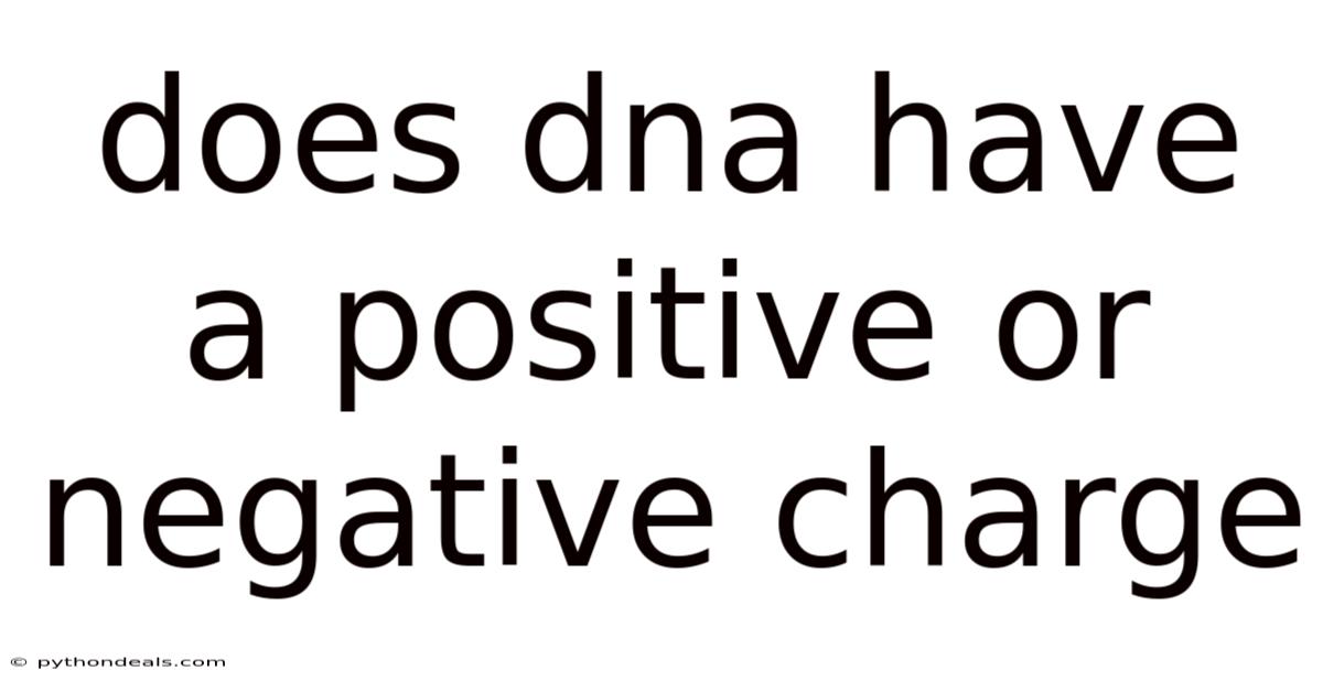 Does Dna Have A Positive Or Negative Charge