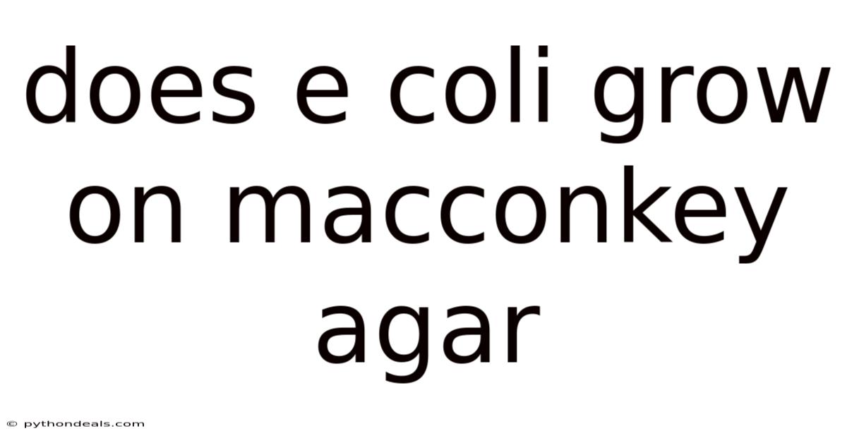 Does E Coli Grow On Macconkey Agar
