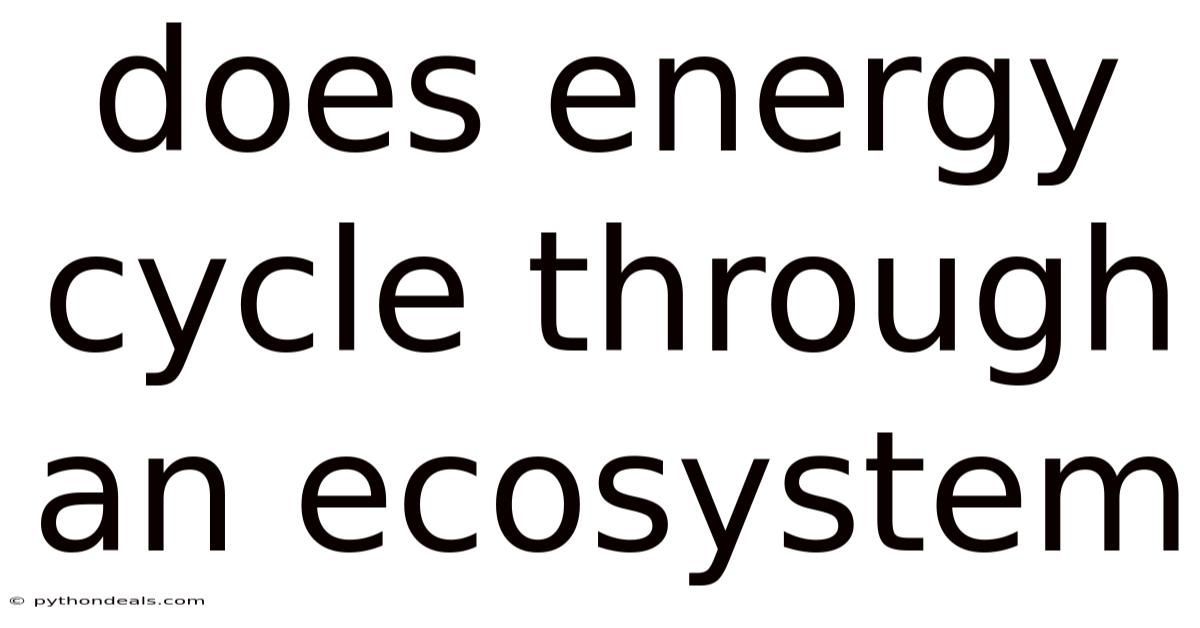 Does Energy Cycle Through An Ecosystem