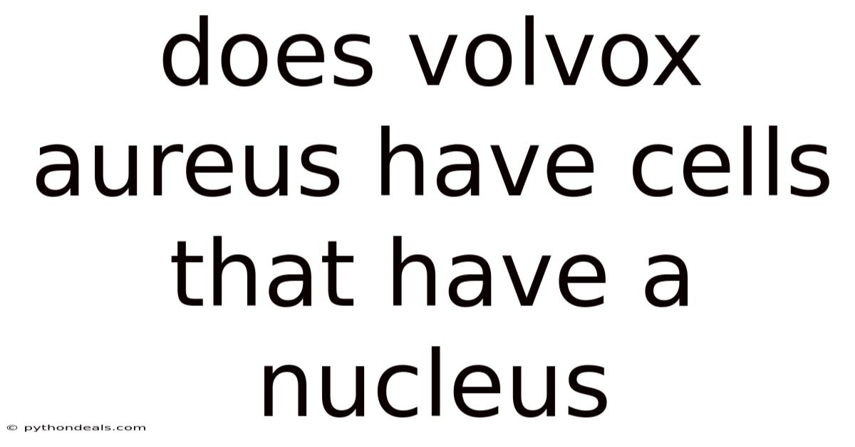 Does Volvox Aureus Have Cells That Have A Nucleus