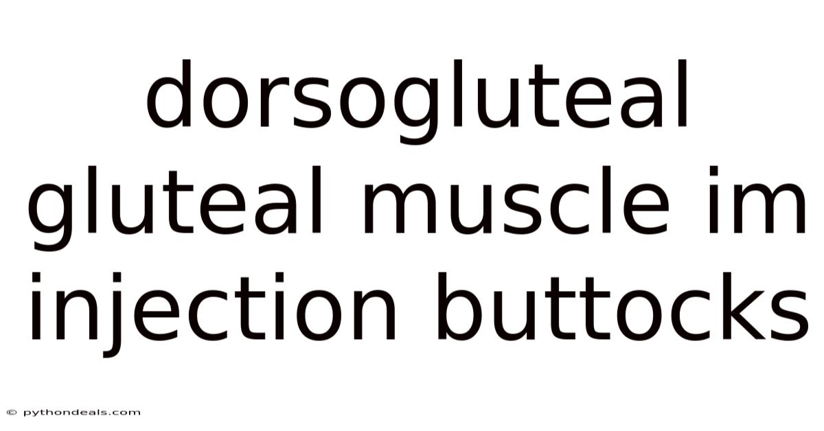 Dorsogluteal Gluteal Muscle Im Injection Buttocks