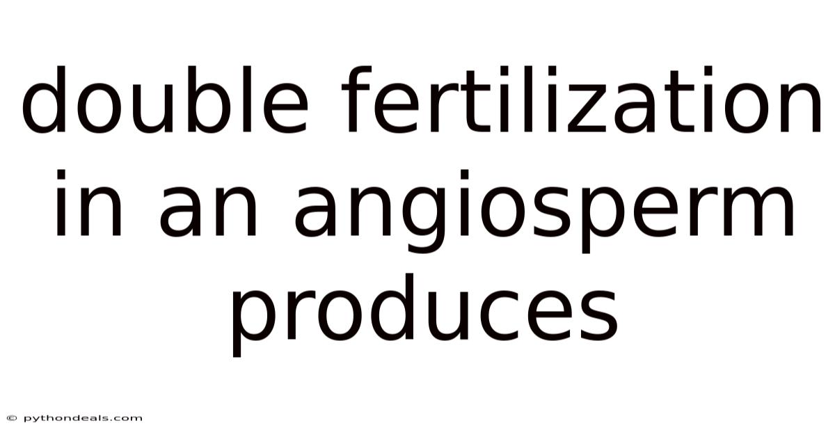 Double Fertilization In An Angiosperm Produces