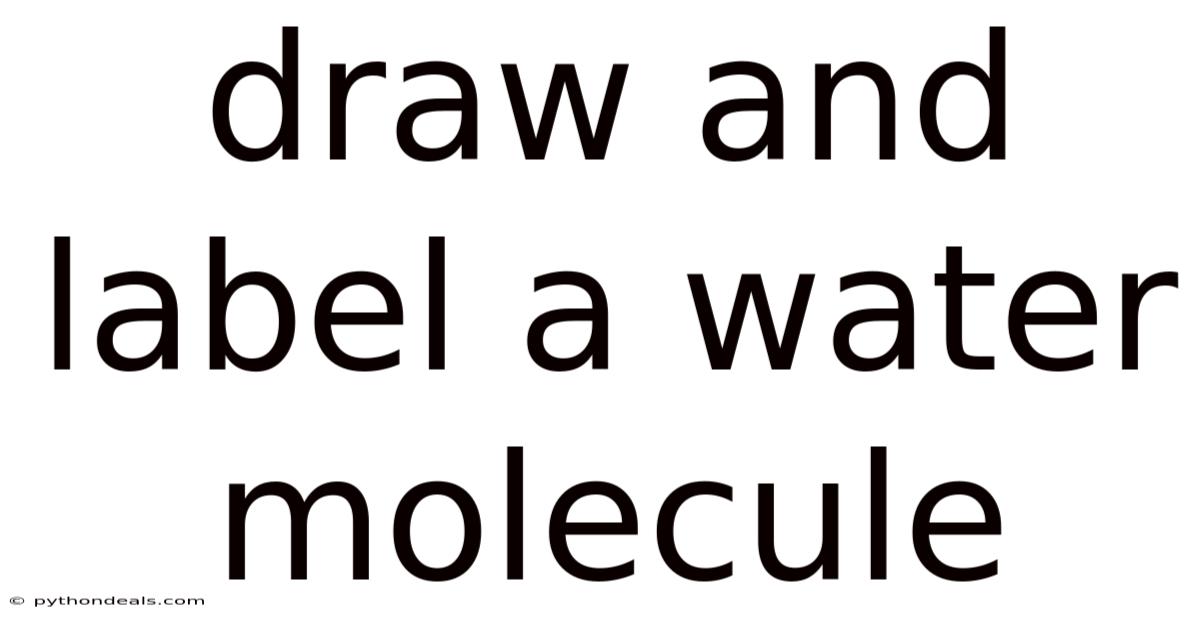 Draw And Label A Water Molecule