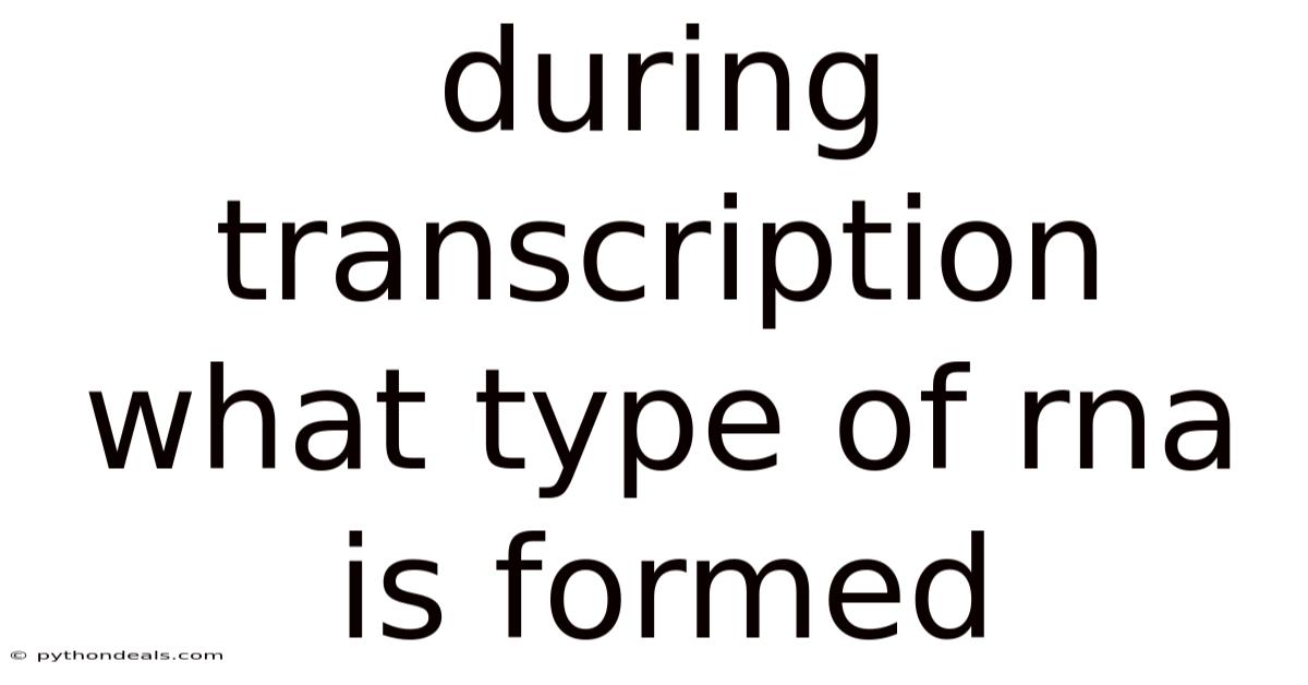 During Transcription What Type Of Rna Is Formed