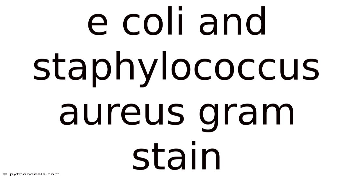 E Coli And Staphylococcus Aureus Gram Stain