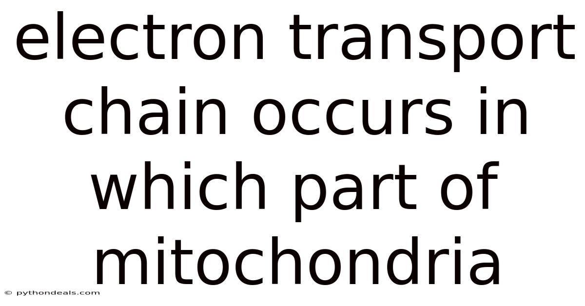 Electron Transport Chain Occurs In Which Part Of Mitochondria