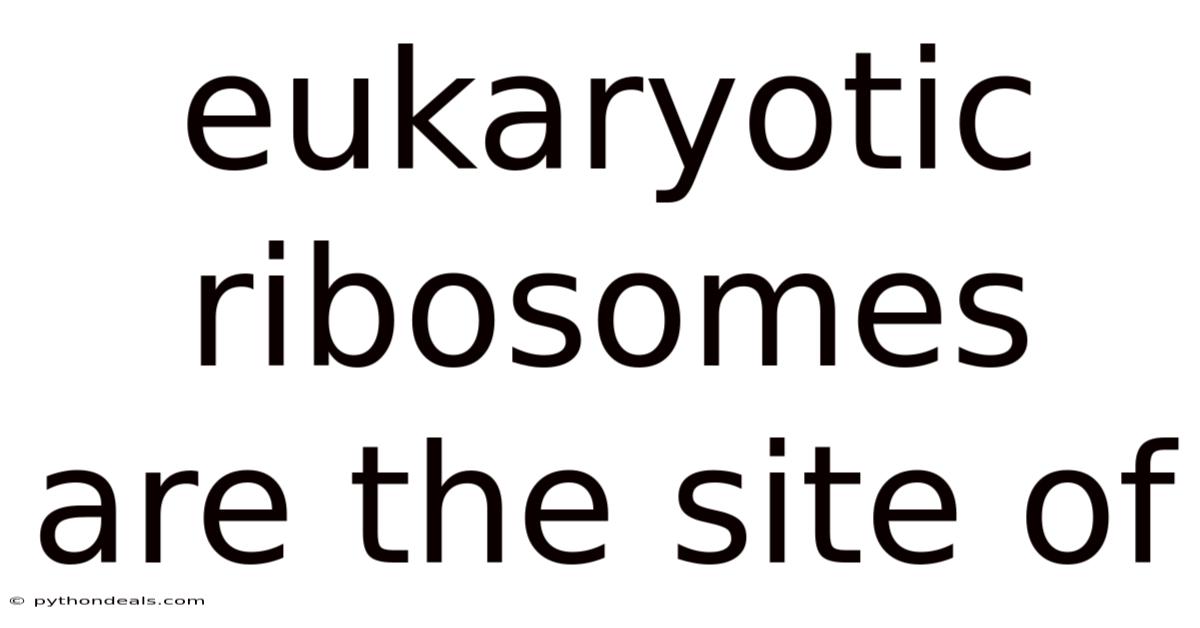 Eukaryotic Ribosomes Are The Site Of