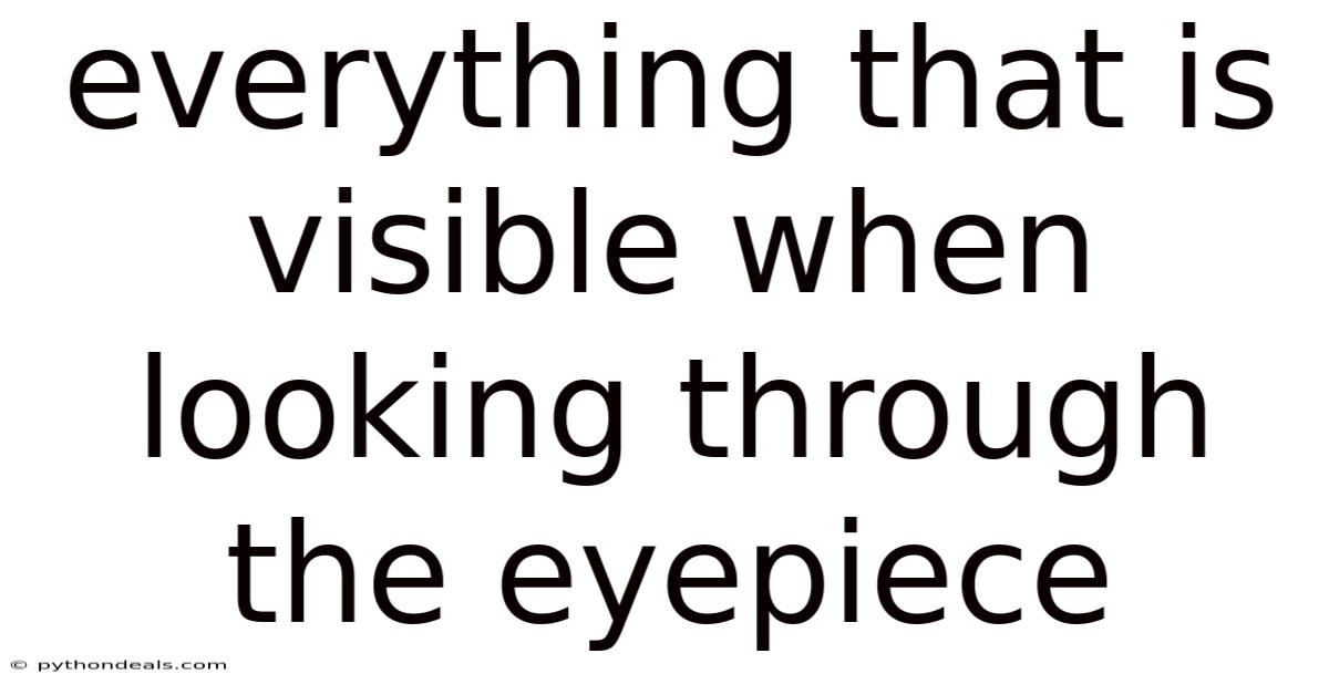 Everything That Is Visible When Looking Through The Eyepiece