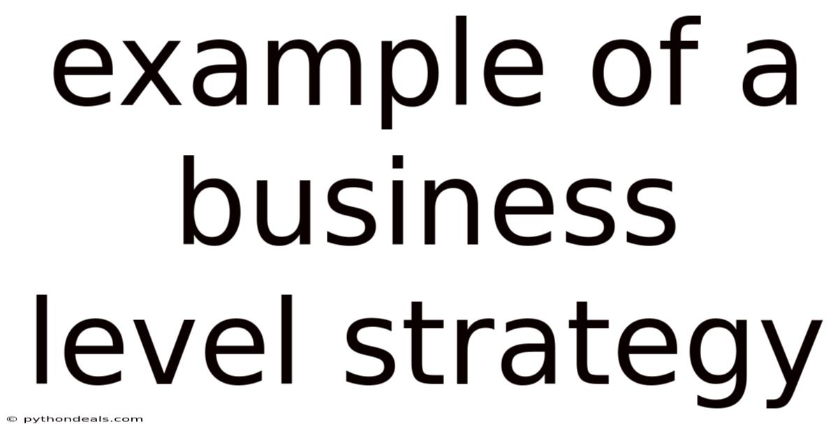 Example Of A Business Level Strategy