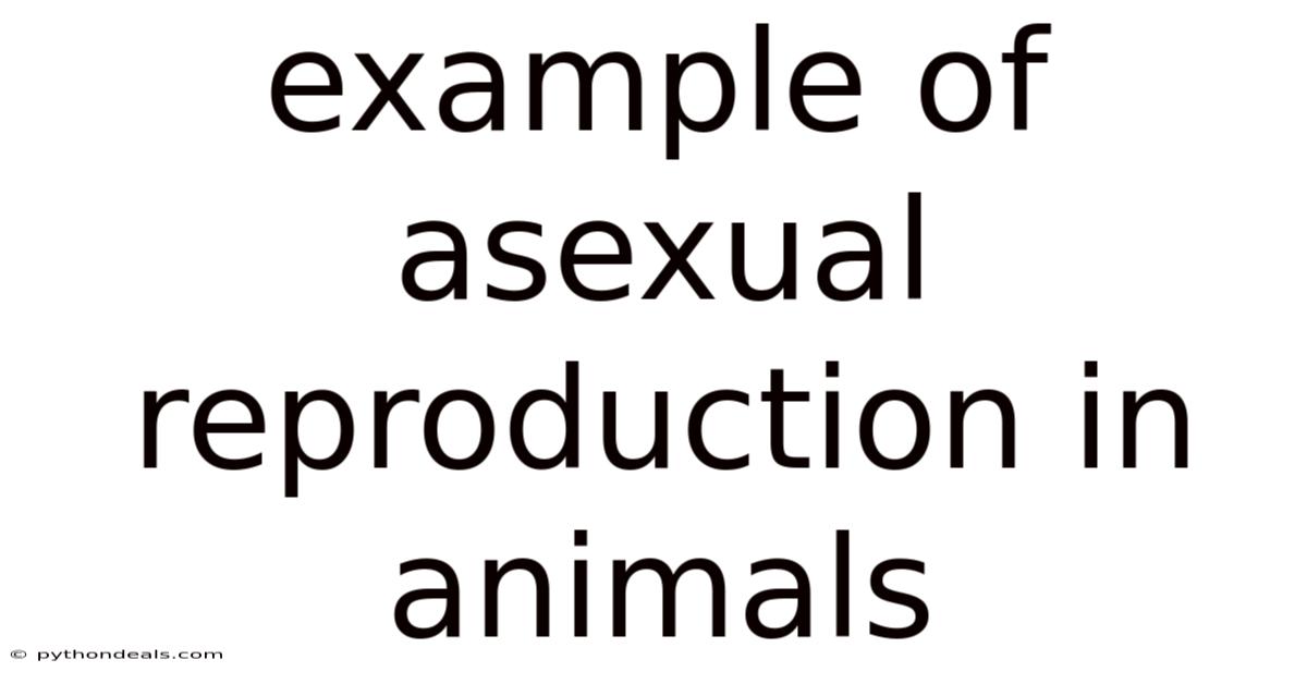 Example Of Asexual Reproduction In Animals