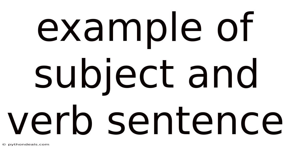 Example Of Subject And Verb Sentence