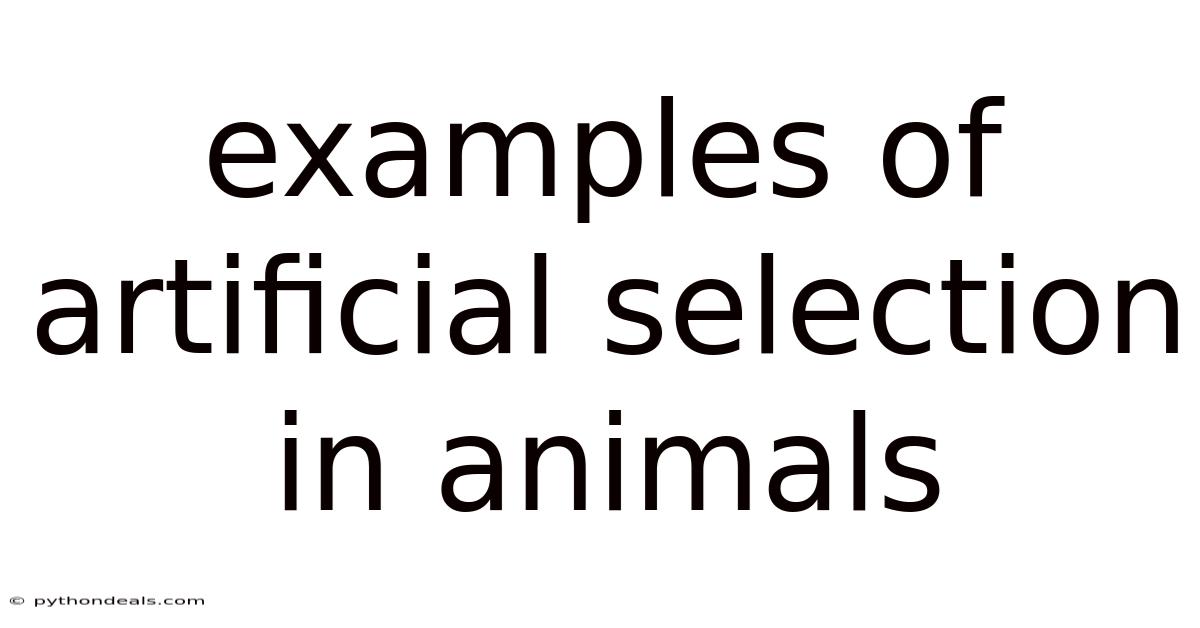 Examples Of Artificial Selection In Animals