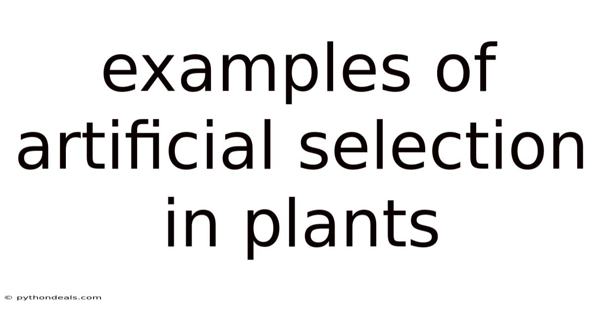 Examples Of Artificial Selection In Plants
