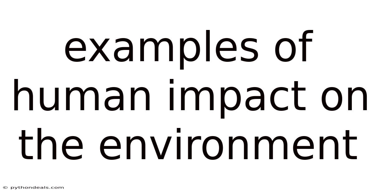 Examples Of Human Impact On The Environment