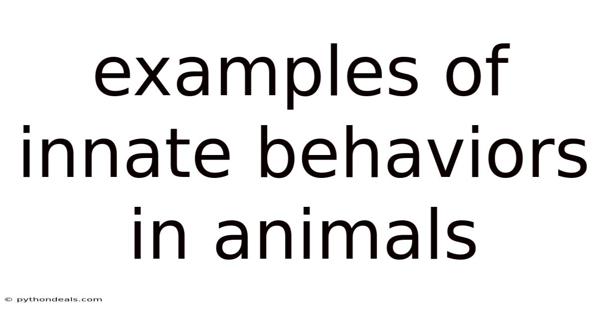 Examples Of Innate Behaviors In Animals