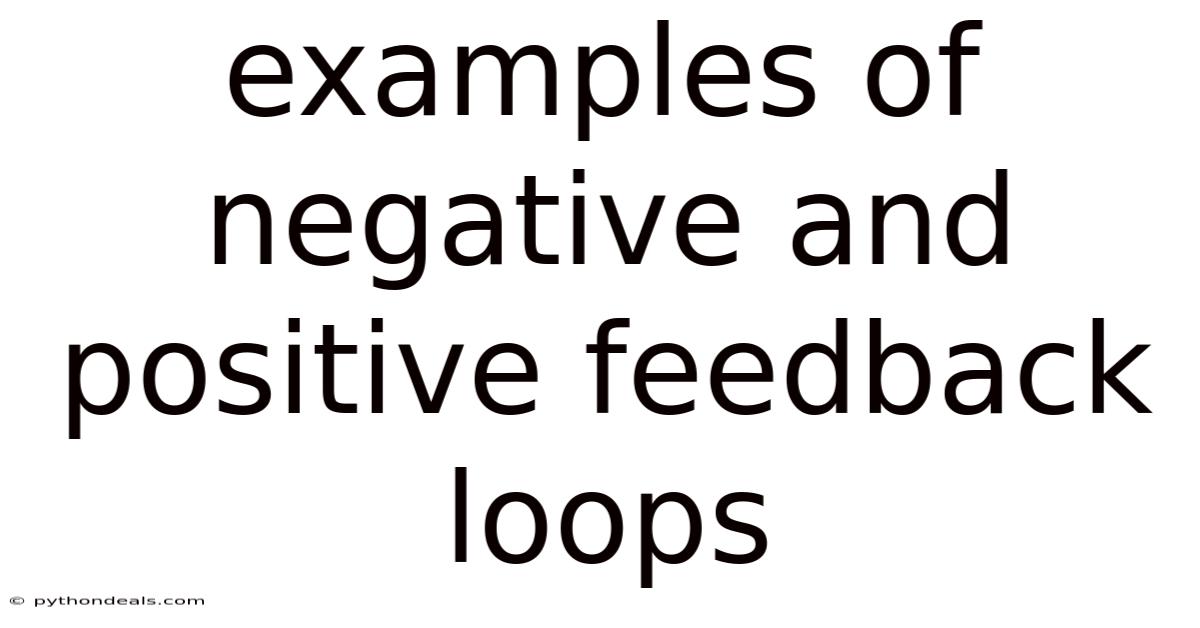 Examples Of Negative And Positive Feedback Loops