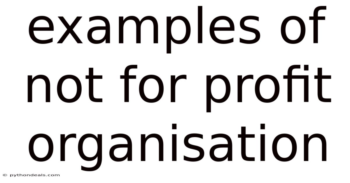 Examples Of Not For Profit Organisation
