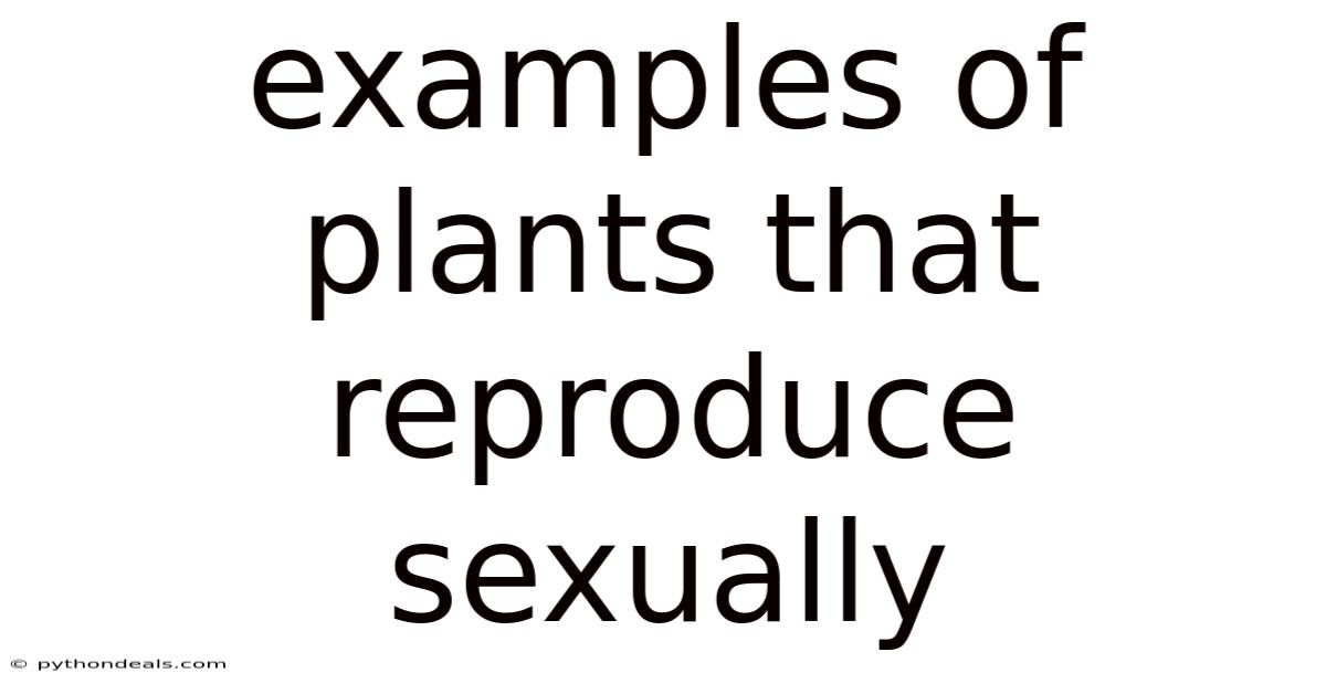 Examples Of Plants That Reproduce Sexually