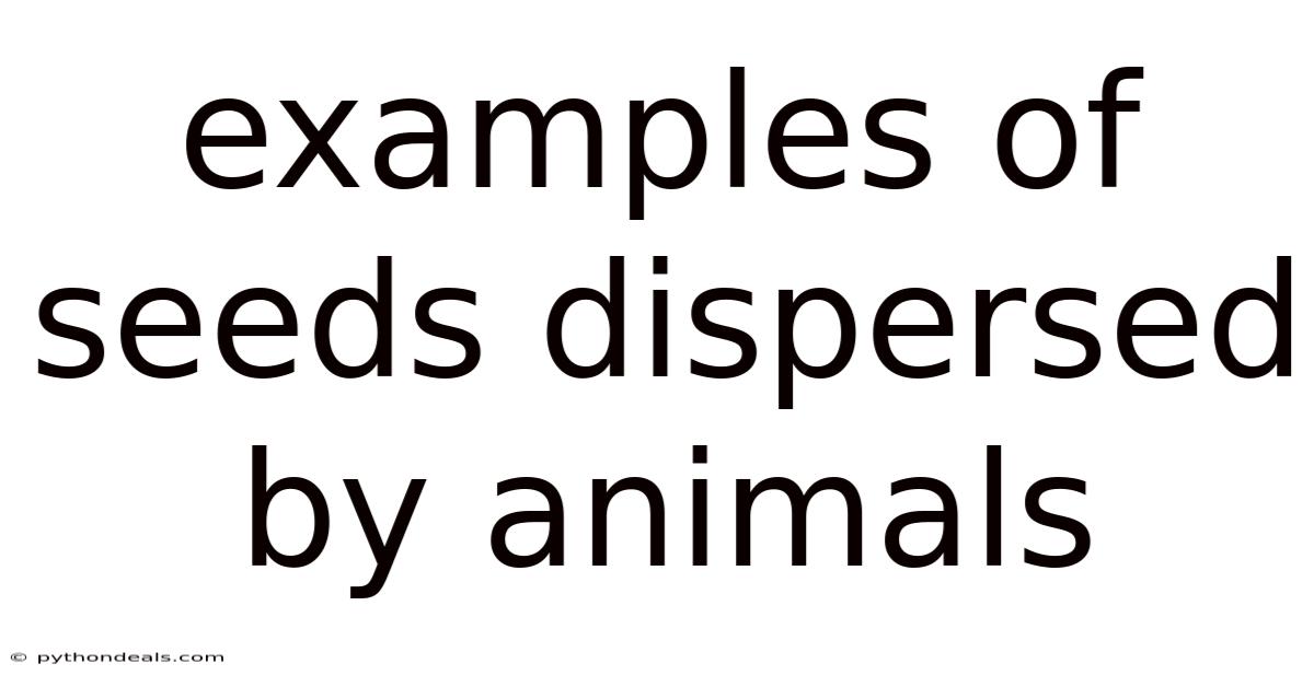 Examples Of Seeds Dispersed By Animals