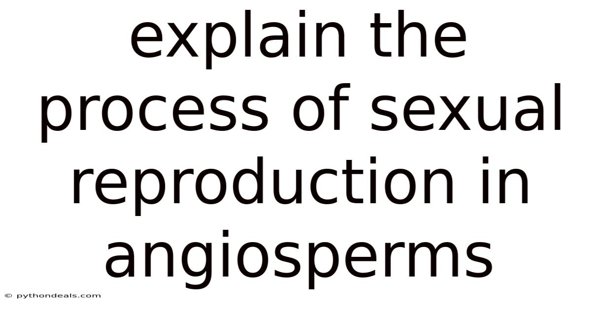 Explain The Process Of Sexual Reproduction In Angiosperms