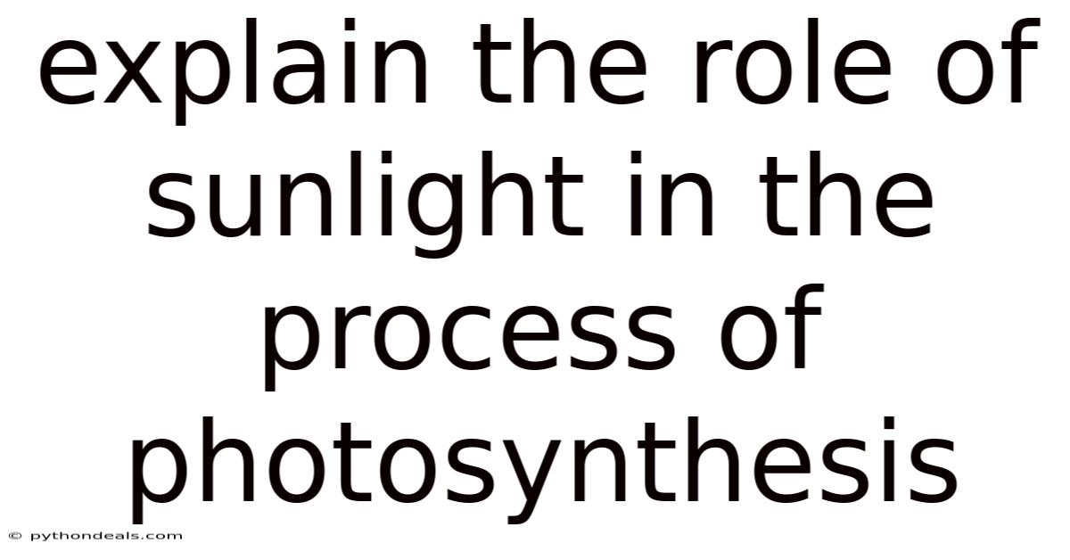 Explain The Role Of Sunlight In The Process Of Photosynthesis