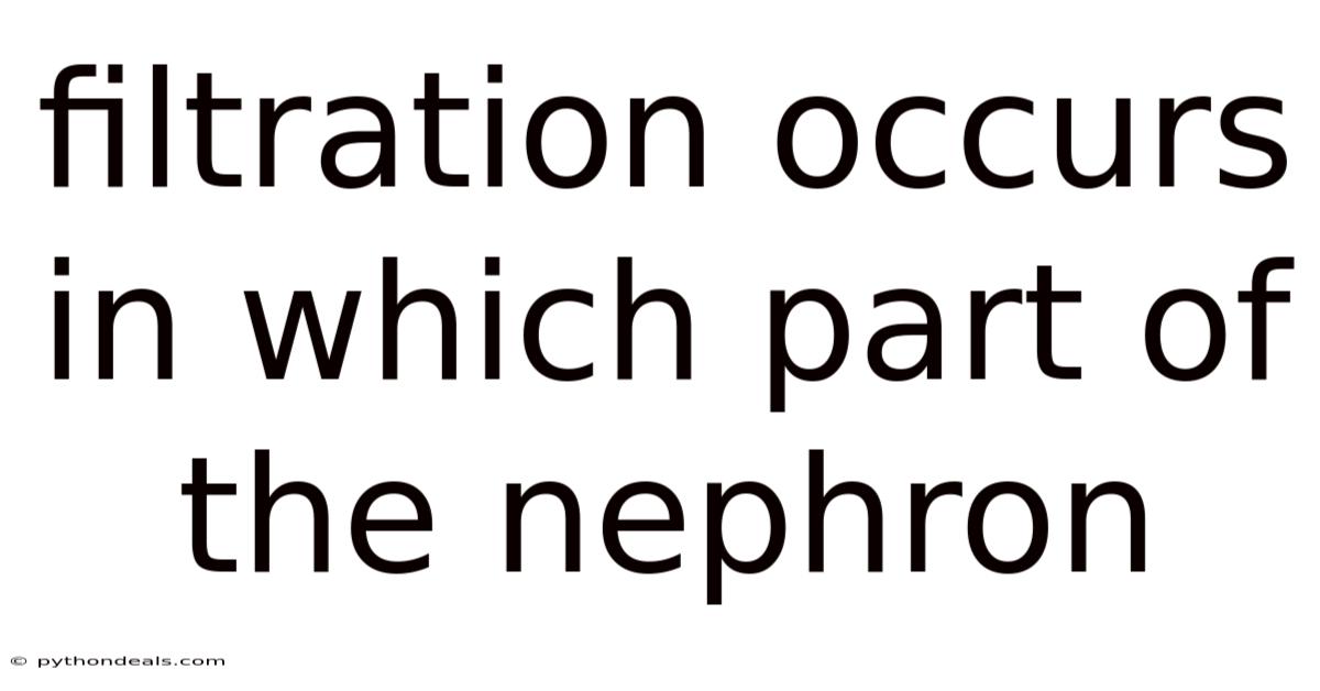 Filtration Occurs In Which Part Of The Nephron