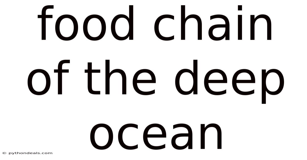 Food Chain Of The Deep Ocean
