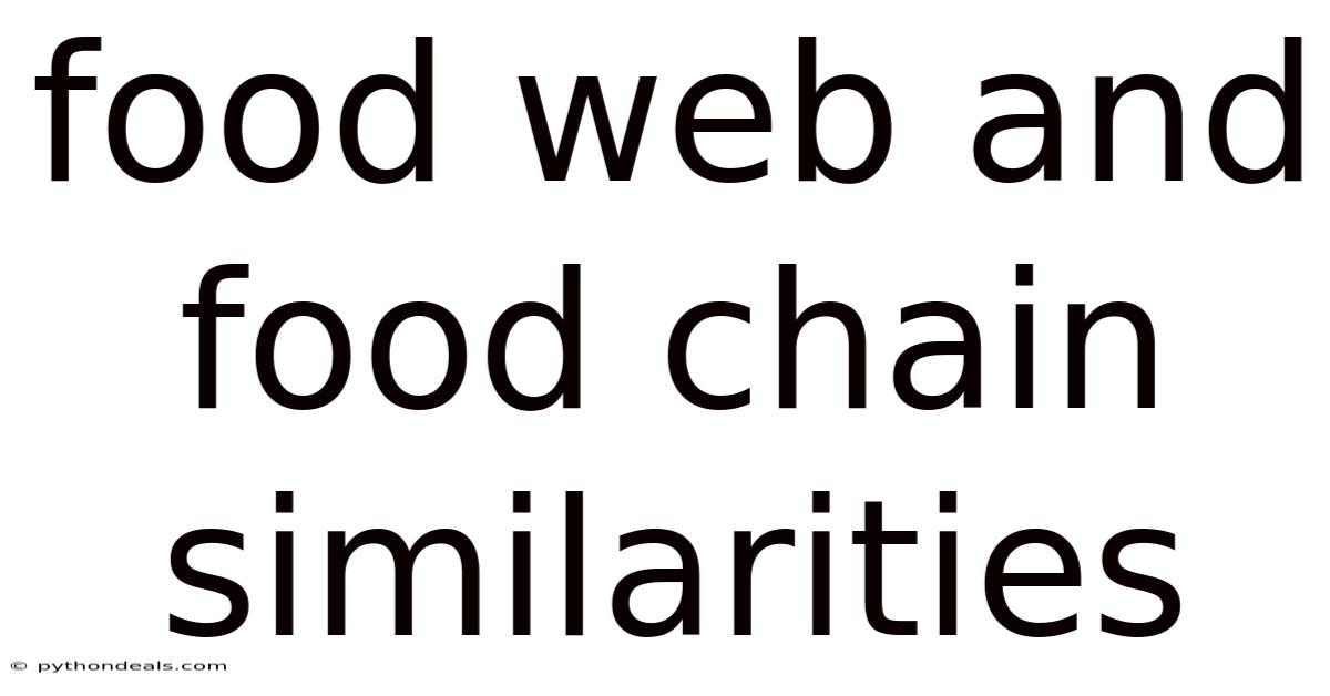 Food Web And Food Chain Similarities