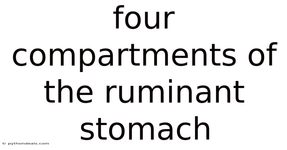 Four Compartments Of The Ruminant Stomach