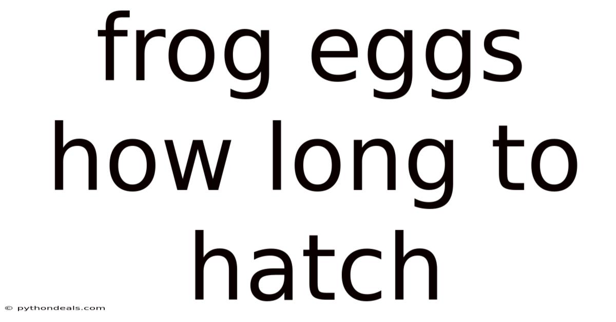 Frog Eggs How Long To Hatch