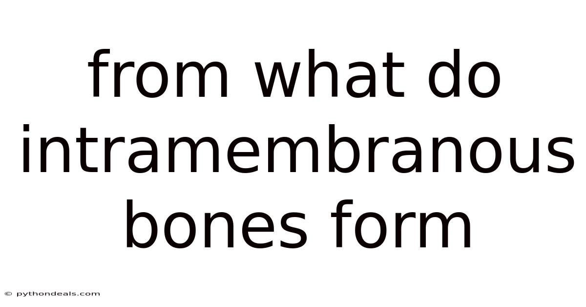 From What Do Intramembranous Bones Form